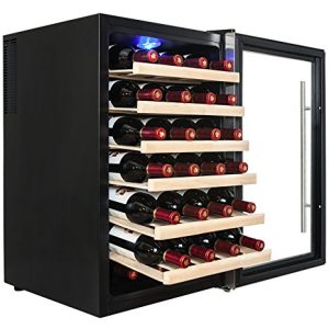 Best Thermoelectric Wine Cooler