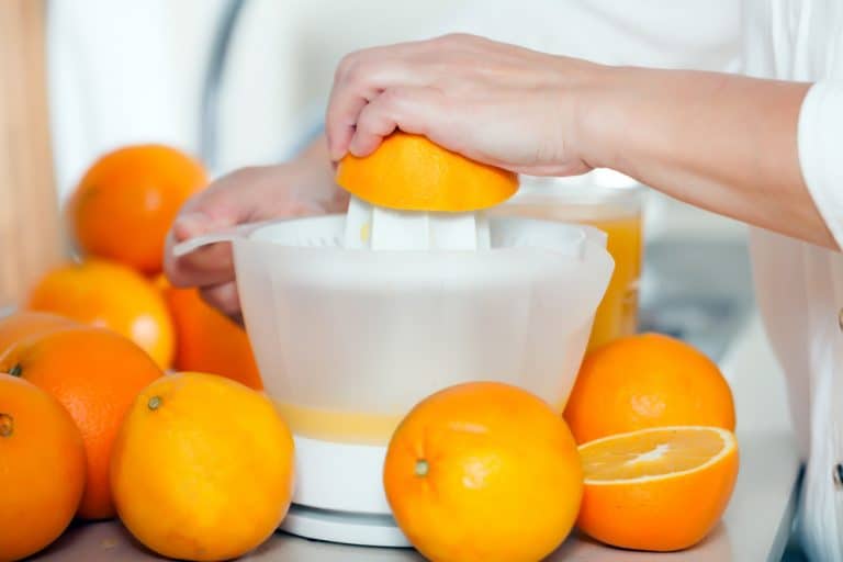 Top 15 Best Manual Juicers Reviews 2020 RattlenHumBar