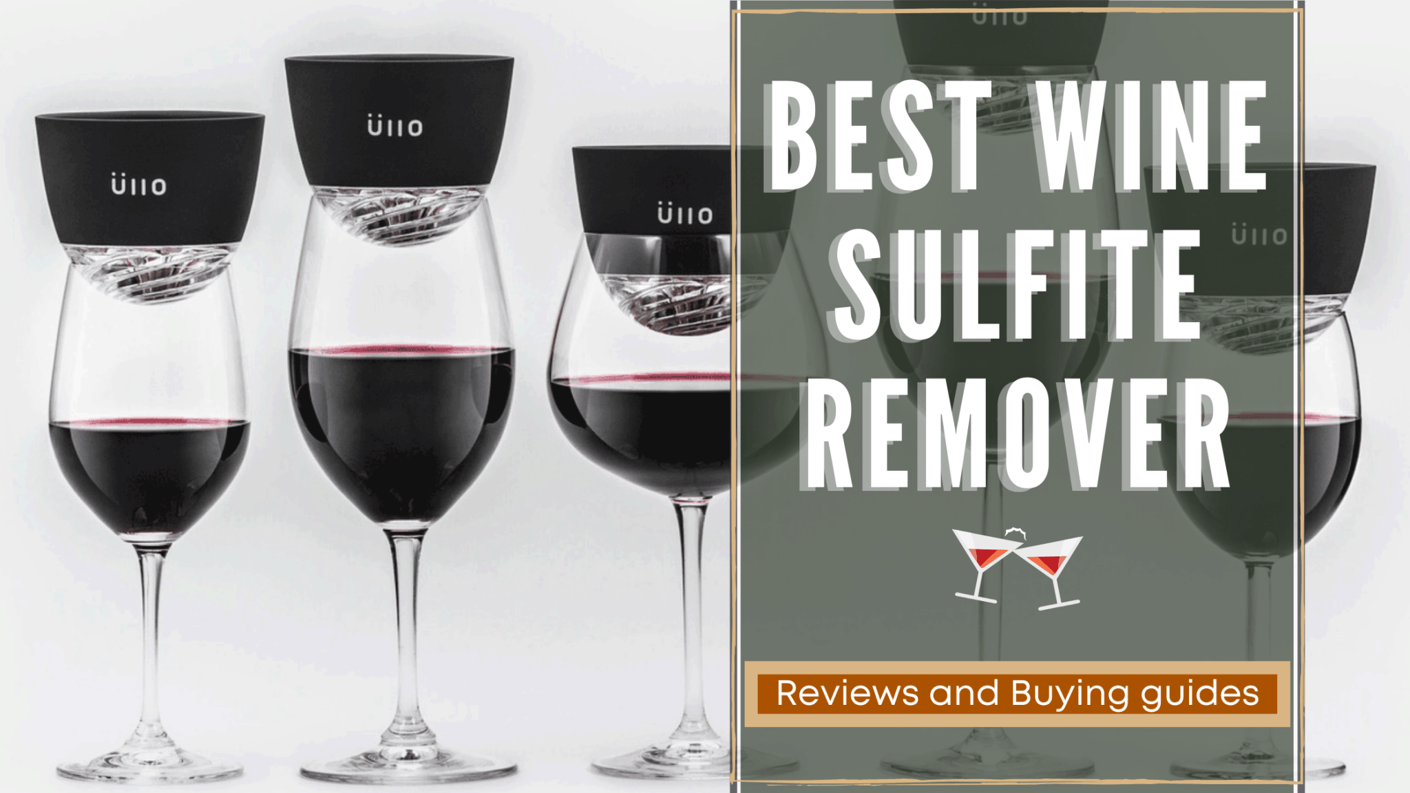 Top 10 Best Wine Sulfite Remover Reviews & Comparison 2023