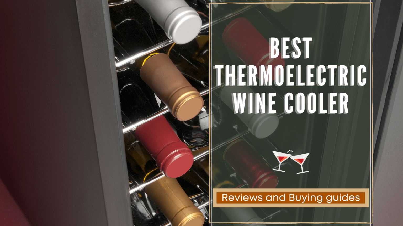 Top 20 Best Thermoelectric Wine Cooler Reviews RattlenHumBar