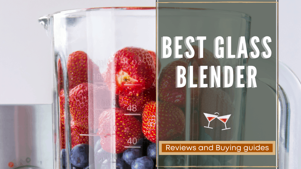 Top 14 Best Glass Blender Reviews 2020 RattlenHumBar