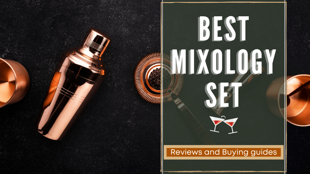 Top 10 Best Mixology Set Reviews 2021 RattlenHumBar