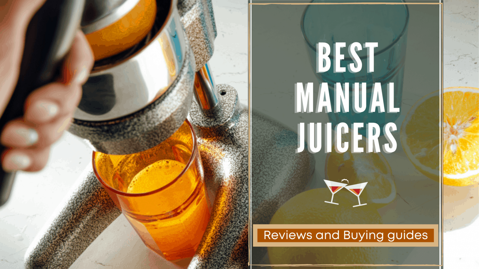 Top 15 Best Manual Juicers Reviews 2020 RattlenHumBar