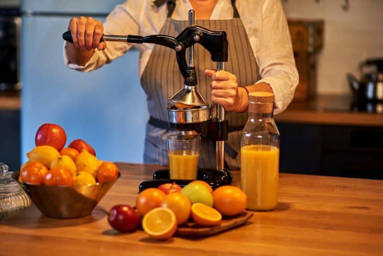 Top 15 Best Manual Juicers Reviews 2020 RattlenHumBar